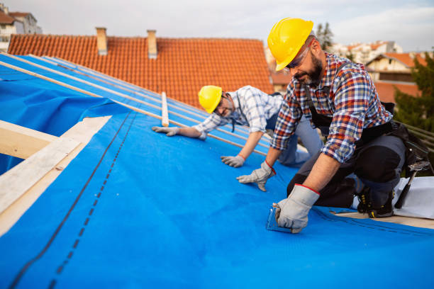 Best Metal Roofing Contractor  in Edwardsburg, MI
