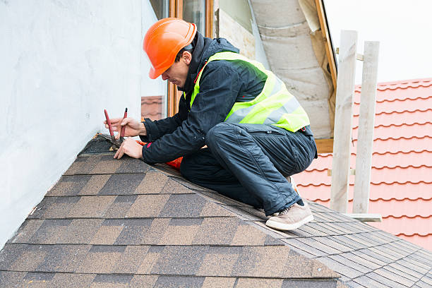 Best Metal Roofing Contractor  in Edwardsburg, MI